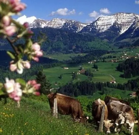 Alpenbrise, Apartment *